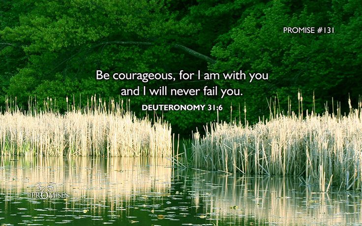 c17bf2bab42f503cc07d62d591a77c26-bible-promises-gods-promises